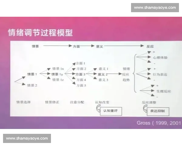 体育心理模型视角下运动员表现与心理调适机制研究