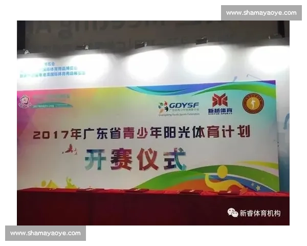 提升体育组织运作效率的策略与管理创新研究探索